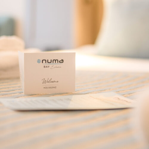 Numa Bay - 2026 -2