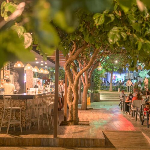 ali baba bar