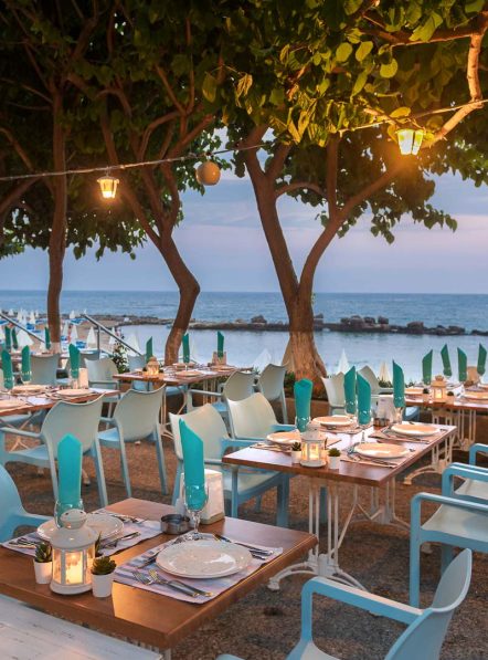 ALI BABA BEACH A'ALA CARTE RESTAURANT (3)