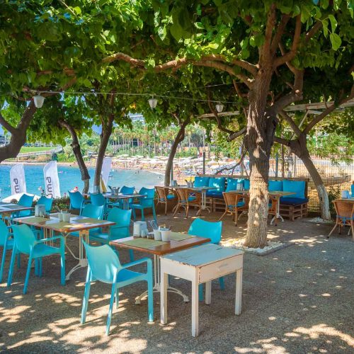 ALI BABA BEACH A'ALA CARTE RESTAURANT