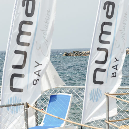 Numa Bay - 2026 -32