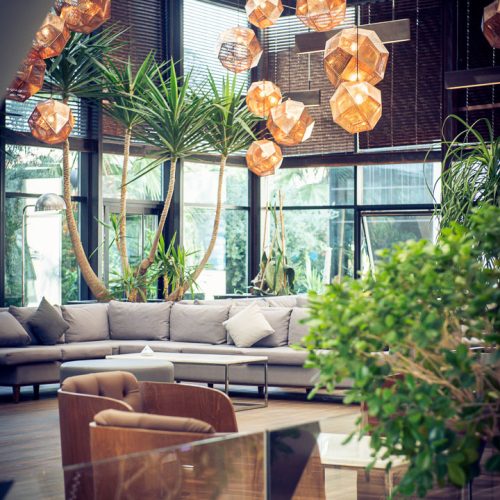 LOBBY (7)