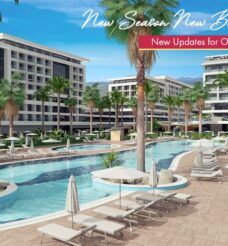 Welcome to the New Numa Bay Exclusive