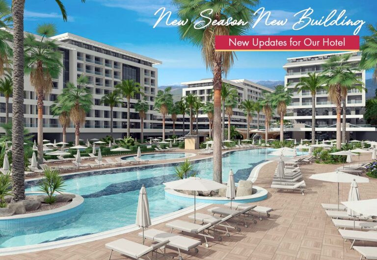 numa bay updates kapak