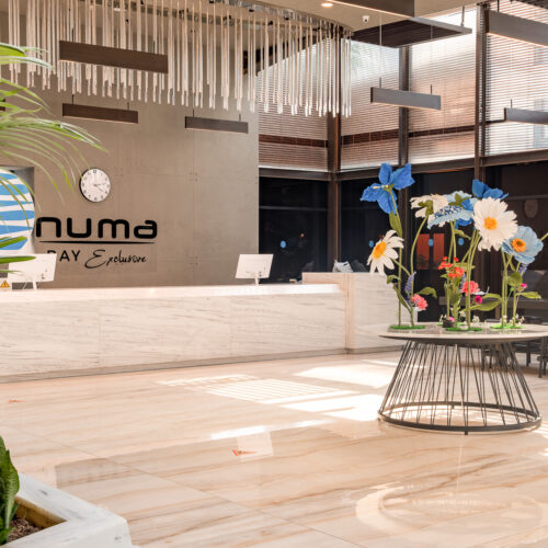 Numa Bay - 2026 -135