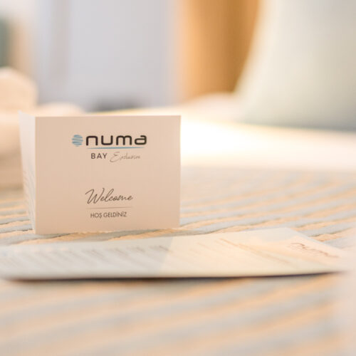 Numa Bay - 2026 -2